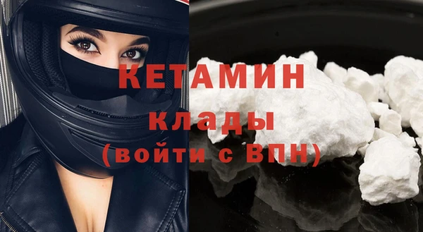 стаф Козловка