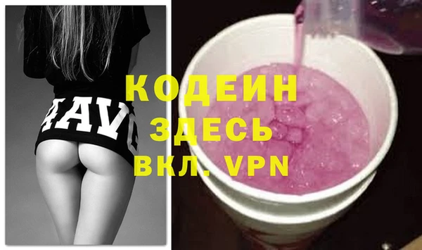 индика Кинешма