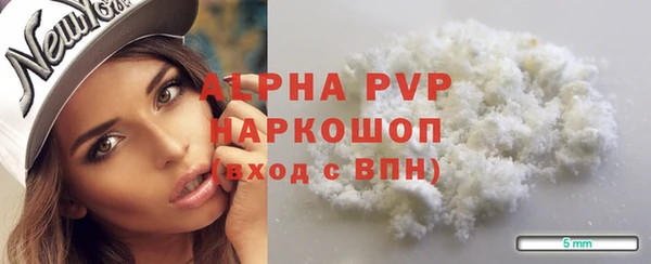 индика Кинешма
