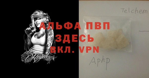 стаф Козловка