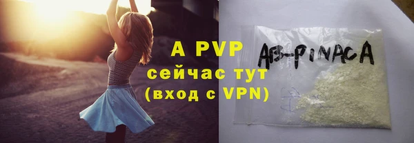 индика Кинешма