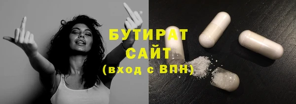 индика Кинешма
