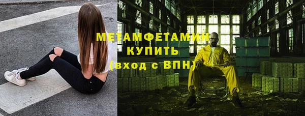 индика Кинешма