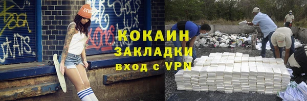 индика Кинешма