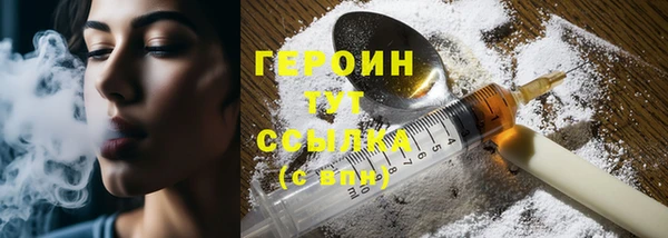 индика Кинешма