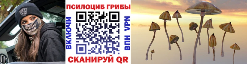 Галлюциногенные грибы Cubensis  Купить где  Нальчик 